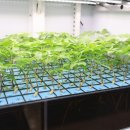 정서경로당 이미지