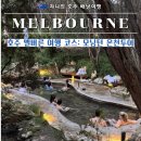 아서농장 | 멜버른 투어 모닝턴 페닌슐라 온천 준비물 및 여행코스 추천