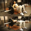 힙짐(HIP GYM) 이미지