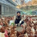 성실축산 이미지