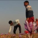 잠무농장 이미지