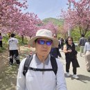 문*수 - 안양시 만안구 | 문*수