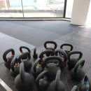 MILO GYM 이미지