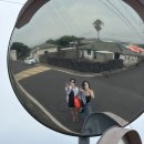 제주도 소규모 게스트하우스 이미지