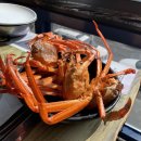 월곶해안로 | 월곶수산마켓 홍게 조개 회 무한리필 내돈내산 후기 | 가성비 해산물 맛집 (월곶 맛집 추천)