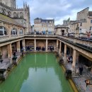 로만바스 이미지