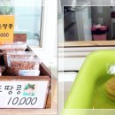 뽀요요