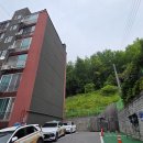 삼호웰빙 | 영월 발산 블랙야크BAC(2025강원20챌린지) 영월삼호아파트 원점회귀 최단코스(영월시내를 한눈에 조망...