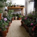 정원출장 이미지