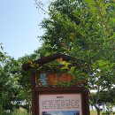 꿀목장2 이미지