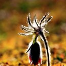 상서초교 이미지