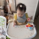 만도냉동공조;만도중기 | 밥솥이유식 시작 but 죽이유식 거부