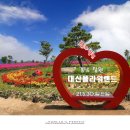 플라워21 티스토리