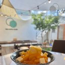 라소(laso) 이미지