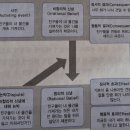 합리적 정서행동 치료 질문 있습니다. 이미지