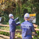 전남도 ‘안전 전남 실현’ 안전관리자문단 새롭게 구성[e미래뉴스] 이미지