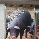 인월정육점 이미지