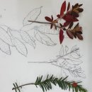 동홍초등학교 이미지