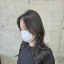 포코헤어 이미지