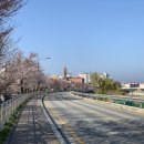 남대천제방길 이미지