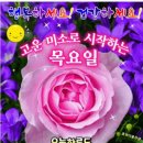 고운미소 - 부산진구 | 고운미소