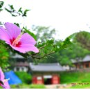 철원중학교 이미지