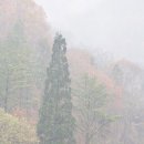 형수농장 이미지