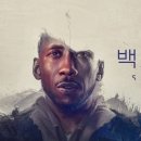 애플노래 이미지