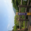 [특별산행공지] 7월 피아골ㆍ뱀사골(지리산) 이미지