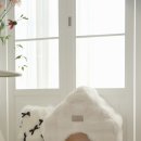 몽글몽글 펫 이미지