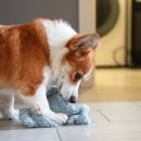 좋아서하는 동물병원 이미지