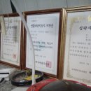 호랑이 유도관 이미지