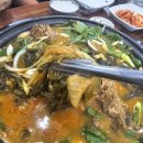 감동애 네이버블로그