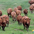 무주읍120 이미지