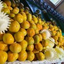 원미농장 이미지