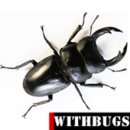 위드벅스 이미지