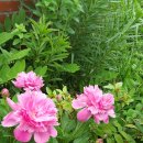 해찬민박 이미지