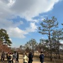 학송양만