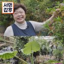 갑부농원