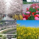 길나들이민박 이미지