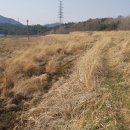 율촌면사무소 이미지