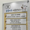 생각자람 책놀이터 | 청주 아이랑 무료놀이공간 놀꽃마루 책육아추천 숲속 그림책놀이터 놀꽃마루예약링크
