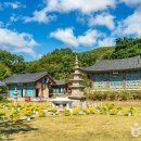 공주소풍관광펜션 이미지