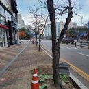 소하로 이미지