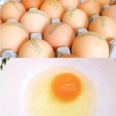 우촌농장 이미지