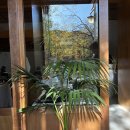 오렌지 애견 클럽 | 수완지구 신상 심야카페 네이비소셜클럽 후기