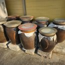 청호식당 이미지