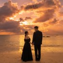 삼양내츄럴 | 제주 웨딩스냅 추천 패키지 가격 비용 추천 4월 5월 촬영장소 선정 잘하는 올레감사 스냅