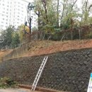 광주계림초등학교 이미지