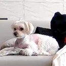 밀린 일상 공유합니다.